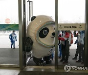 Beijing Olympics Mascots Photo Gallery