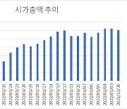 1월 폭락장에 코스피 시총 100조원 이상 증발했다