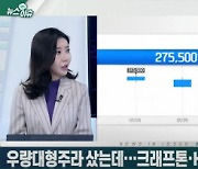 우량 대형주라더니..크래프톤·HDC·카카오 주주들 '곡소리'