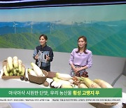 산지 폐기 고민하던 횡성 무, 케이블TV 지역채널 커머스로 '회생'