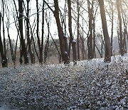 [포토친구] 눈 내린 풍경