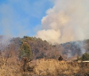 전북 완주군 죽절리 산불, 1시간 40분만에 진화