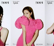 에이핑크, 핑크 드레스 입고 10주년 파티..'HORN' 개인 포토 공개