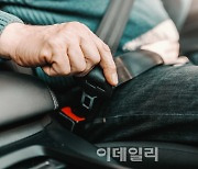 설 연휴 교통사고 주의보..뒷좌석도 안전벨트 해야 하는 이유