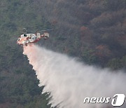 경북 군위 의흥면 야산서 불..50분 만에 진화