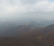 낙동정맥, 멸종위기종 동식물의 보고.."보전해야"