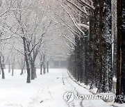 내일 밤~설날, 중부 '큰 눈' 예보..귀경길 빙판 주의보