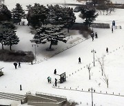 설 전날·당일 '함박눈'.. 귀경길 운전 주의