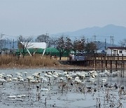 코로나 걱정없이 나들이, 경북 지산샛강으로 오세요