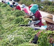 전북도, 여성농업인 복지 지원 '팍팍'..올해 112억 투입