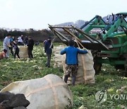 "농민은 생산에만 전념하세요"..익산시, 전자상거래 판매 강화