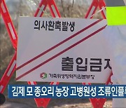 김제 모 종오리 농장 고병원성 조류인플루엔자 확진