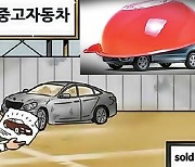 "470만원 중고차, 2880만원에"..사람도 죽인 '허위매물' 뿌리뽑자, 대선공약 등장