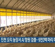 진천 오리 농장서 AI 항원 검출..9천3백 마리 예방 처분