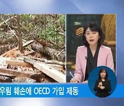 산림 파괴 '극심'..브라질 OECD 가입 '제동'