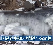 충남 4개 시군 한파특보..서해안 1~3cm 눈