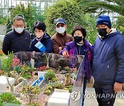 탐방객 붐비는 국립세종수목원