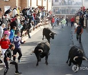 SPAIN TRADITION BULL RUNNING