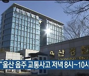 경찰 "울산 음주 교통사고 저녁 8시~10시 최다"