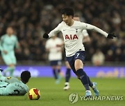 '손흥민 한 달만에 복귀' 토트넘, 브라이턴 3-1로 꺾고 FA컵 16강 진출