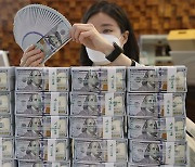 Korea¡¯s FX reserves thin for 3rd month in Jan amid growing worries about twin deficits