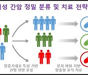 분당차병원, 암줄기세포 RNA 기반의 맞춤형 표적치료 전략 제시