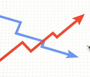 금융지주 역대 최대 실적 올렸지만..주가 전망 꼭 밝지만은 않네