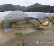 충북도 "용담댐피해 조정 수용..옥천·영동주민에 총 4억 지급"