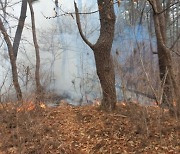 부산 기장군 아홉산서 불..1시간 30분만에 주불 진화