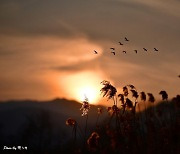 [포토친구] 아름다운 석양