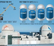 탈탄소 과속에 화력발전 34%로 뚝..전력 모자라자 원전으로 메워