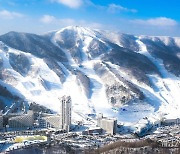 겨울 스포츠 시즌 검색 트렌드 공개 .. "국내 겨울 여행지 검색량 전년 대비 37% 증가해"