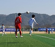 손흥민 박지성 낳은 전국고교축구대회 '열기'..24일 합천군민체육공원서 결승 치른다.