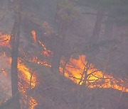 영덕 산불, 축구장 560개 면적 피해..36시간 만에 진화