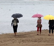 "10분만에 피 맑아진 환자..해외 의사도 증언한 땅의 치유력" [맨발로걸어라]