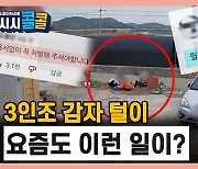 [시청자브리핑 시시콜콜] 차몰고 온 3인조 빈집 감자털이, 그들은 누구인가?