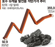 이번엔'석탄 대란'.. 1년새 250% 급등