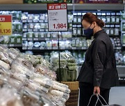 치솟는 물가에 서민 울상인데.. '원론수준' 맴도는 새 정부 국정과제