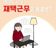 [카드뉴스]앤데믹 시대, '재택근무'의 운명은?