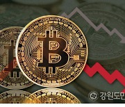 비트코인 이틀째 급락..4550만원으로 전날보다 1.62% 떨어져