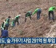 충청북도, 숲 가꾸기 사업 291억 원 투입