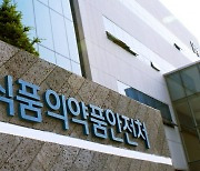 식약처, 12일 '제품화전략지원단' 업무설명회 개최