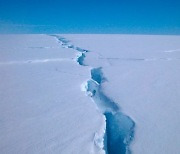 "남극 빙하 계속 녹을 경우, 생태계 균형 붕괴될 수 있어" 경고