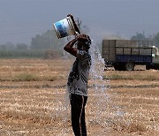 [443호] photo news | 뜨거운 인도, 122년 만의 폭염 밀 공급난 전 세계 밥상 위협