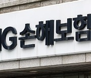 '부실금융기관 지정' 피한 MG손보.. 재무건전성 감독 사각 우려