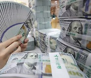 Seoul under pressure to seek currency swap with US as KRW nears 13-yr lows