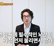 '강수연 왜 숨졌나' 홍혜걸 유튜브 논란.."애도기간"vs"역할 충실"(종합)[Oh!쎈 초점]