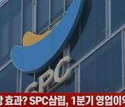 (영상)포켓몬빵 효과? SPC삼립, 1분기 영업이익 30%↑