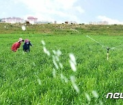 '농번기' 북한.. 가뭄 피해 막기 총력