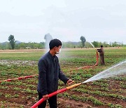 [포토 北]전국적 가뭄 위기 우려.. '물 대기' 총력전